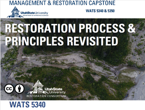 Restoration Process &amp; Principles Revisited