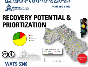Recovery Potential &amp; Prioritization