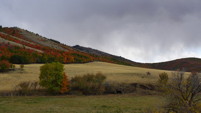 Birch Creek Fall