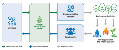 Forest Resilience Bond