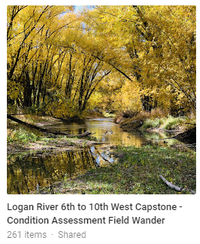 Google Album image