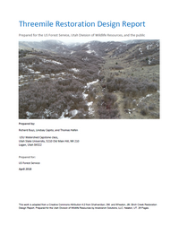 Alluvial Research Consulting - Three Mile Design Report image