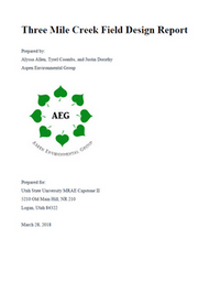 Aspen Environmental Group - Three Mile Design Report image