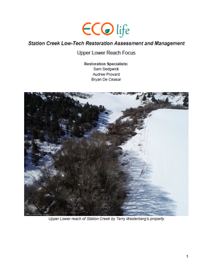 ECO Life Consulting - Station Creek Design Report image