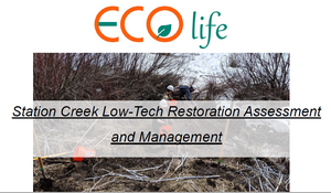 ECO Life Consulting - Station Creek Presentation image