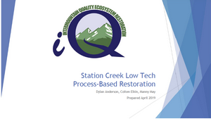 Intermountain Quality Ecosystem Restoration - Station Creek Presentation image