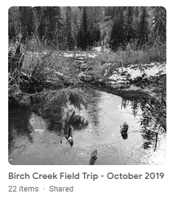 Pre Project - October 2019 Field Trip image